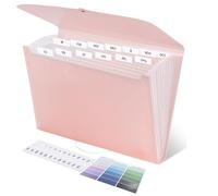 Lamitocs Carpeta expandible A4, organizador de archivos con 13 bolsillos con etiquetas de colores, carpeta de plástico A4, expansor de almacenamiento de documentos para escuela, oficina y hogar,