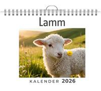 Lamm: Wandkalender 2026, Kalender DIN A4 quer, Monatskalender im Querformat mit Kalendarium, das perfekte Geschenk