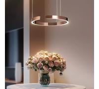 Lampada A LED A Sospensione Tavolo Da Pranzo Moderno Lampadario Minimalista For Soggiorno Paralume In Alluminio Altezza Regolabile Anello Luminoso Lampada A Sospensione Oro Rosa(Luce calda,60cm)
