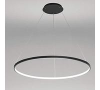 Lámpara Colgante Circular de 1 luz, araña LED de Metal acrílico, lámpara Colgante Moderna Ajustable para Sala de Estar, Dormitorio, Cocina, Negro + luz cálida - 20 cm, cómoda para aniversari