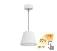 Lámpara colgante de escayola Lámpara colgante GIEDI DIY incl. lámpara GX53 [EEK: F]