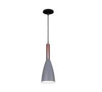LÁMPARA COLGANTE DE METAL MODERNA SIMPLE NÓRDICA E27 LUZ DE TECHO PARA RESTAURANTE EN CASA BAR, COLOR GRIS OSCURO (gris oscuro)