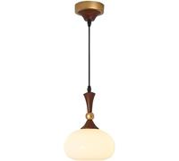 Lámpara colgante de noche de acero al carbono y cristal de estilo nórdico para dormitorio, con casquillo E27, ajustable, para isla de cocina, lámpara colgante moderna y minimalista para comedor, dormi