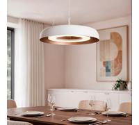 Lámpara Colgante LED 18W Acero Cancot