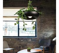 Lámpara colgante Sky Garden de diseño nórdico, lámpara de araña ajustable para macetas, lámpara creativa para decoración del hogar, LED E27, color negro y dorado, para sala de estar, cocina, comedor