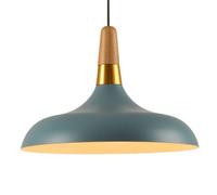 Lámpara de araña de Metal ameno, lámpara Colgante Creativa y Personalizada, lámpara Colgante de un Solo Cabezal con Fuente de luz E27, iluminación de Techo para decoración de porches y Pas