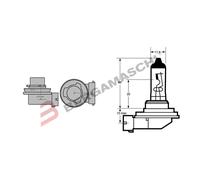 OSRAM 64211 Lámpara Halogen PGJ19-2 12V 55W H11, Halogenweiß