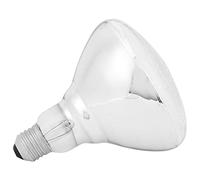 Lámpara de Calor de Punto de Calentamiento de Terapia de Temperatura Ajustable 250W 220V-240V para Aves de Corral Pequeñas (AR38 vidrio blanco sin hueso)