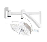 Lámpara de Exploración LED de Pared, Luz de Examen Quirúrgico Sin Sombras con Brillo y ángulo Ajustables para Clínicas de Cavidad Oral y Ginecología