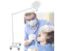 Lámpara de Exploración LED Móvil, Luz de Inspección Sin Sombras con Atenuación de 5 Niveles, Lámpara de Pie Giratoria de 360° for Otorrinolaringología, Ginecología