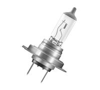 Lámpara De Halógeno OSRAM 12V Lámpara De Proyector PY26D-1 65 64180L