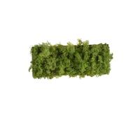 Lámpara De Pared LED Up Down 3000 K 32 Cm Ancha Musgo Verdadero Interior