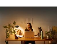 Lámpara de pie/mesa Sun@Home Panan Desk Disc Clip 4099854109560