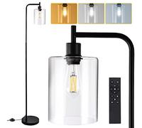 Lampara de Pie Salon Negro,Lámpara de Pie Industrial Regulable con Pantalla de Cristal Transparente,Mando a Distancia y Control de Pie, Lámpara LED Proporciona 800 lm de Luz Blanca (2700K-6500K)