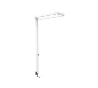 Lámpara de pinza LED MAULjura, blanca, aluminio, atenuable, 100 cm