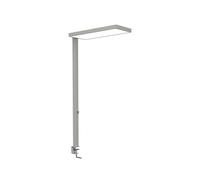 Lámpara de pinza LED MAULjura, color plateado, atenuable, 100 cm