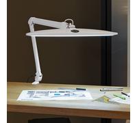 Lámpara de pinza LED MAULwork, blanca, altura 50 cm, atenuable