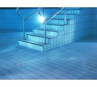 Lámpara De Piscina Led Par56 16W 1500lm 6500K Haz Amplio - 145619