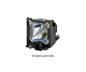 Lámpara de repuesto para los módulos compatibles Optoma W300, W316, EH200ST, HD141X, HD26, DH1009, X312, X345, GT1070Xe, GT1080/e (reemplaza a: SP.8VH01GC01)