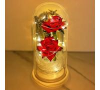 Lámpara de rosa eterna encantada con flores brillantes artificiales, la Bella y la Bestia, galaxia infinita, cúpula de cristal para siempre, regalos para aniversario, madres, mujeres, novia, esposa,