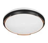Lámpara de Techo Activejet AJE-Petrus 24W Blanco Negro Cobre 80 24 W (4000 K) - Marca: Activejet - EAN: 5901443122845