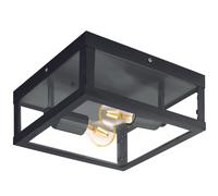 Lámpara de Techo De Exterior A 2 Luces Negro Con Vidrio Coll GL1297