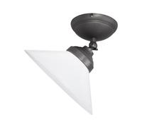 Lámpara de Techo Foco Reflector Ø 24,5CM Orientable Cristal Latón E27 en Bronce