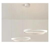 Lámpara de Techo LED nórdica Moderna, Colgante Circular de acrílico, iluminación artística para el hogar, Restaurante, Tienda, vestíbulo de Hotel (Blanco, 2 Anillos, cálido).