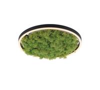 Lámpara De Techo LED Redonda D: 39,3 Cm Musgo Real 3000 K 2650 Lm Regulable