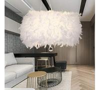 Lámpara de techo Pantalla Retro Moderno Pluma de cristal Colgante de luz con sombra Decoración para sala de estar, dormitorio, bar, cafetería, restaurante y hotel