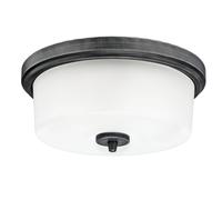Lámpara De Techo Westinghouse Cedric 33 Cm Aluminio 2 X E27 40 W