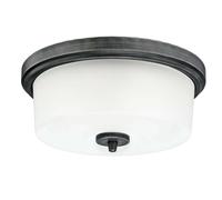 Lámpara de Techo Westinghouse Cedric 33CM Aluminio 2 X E27 40W