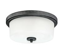 Lámpara de Techo Westinghouse Cedric 33CM Aluminio 2 X E27 40W