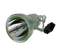 Lámpara Desnuda de proyector de Repuesto BL-FP210A Apta para proyectores OPTOMA W316ST, W350, W351, X316ST, X351, OPX4055. Reemplazo de la Bombilla de proyección