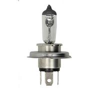 Lámpara, faro principal PHILIPS 13342MDC1 para DAF 45 5.88 1991-2