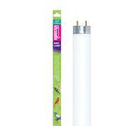 Lámpara Fluorescente para pájaros - Arcadia - Potencia: 36W
