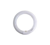 lámpara fluorescente T9 Circular w 40