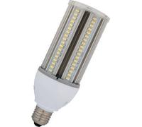 Lámpara LED Bailey Corn - 80100040947