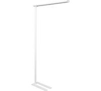 Lámpara LED de pie MAULjet, altura 1950 mm, blanco señal RAL 9003.