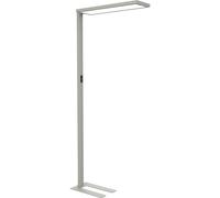 Lámpara LED de pie MAULsenja MAUL, altura total 1960 mm