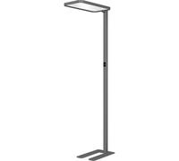 Lámpara LED de pie SAPHIR Hansa, atenuable
