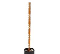 Lámpara LED de seguridad industrial multicapa, luz fija/intermitente, sin zumbador, 12 V CC, 24 V, 220 V, 50 mm, cuerpo negro.(3 Layer,Steady Light 12V)