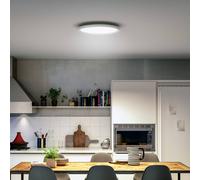 Lámpara LED de techo Philips Hue White Ambiance Aurelle, Ø 40 cm