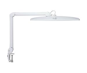Lámpara LED para puesto de trabajo MAULexplore MAUL, atenuable