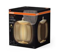 Lámpara LED vintage de 1906, ovalada grande, 25 fi 4099854173844