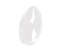 LáMpara Pantalla Carcasa Del Faro Izquierdo Del Coche Pantalla De Lámpara Cubierta Transparente Lente Cubierta Del Faro Para Mercedes Para Benz R350 2006-2008 Cubiertas Faros