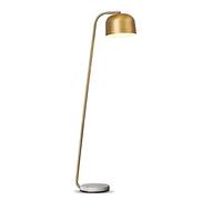 Lámparas Altas de pie lámpara de Pesca de lámpara de Arco de Metal para la Sala de Estar del Dormitorio Curvado, y Tono de Domo de Metal con luz de Lectura Brillante