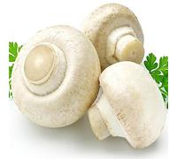 lamphle 200 Unids Botón Blanco Semillas de Setas Jardín Patio Planta Vegetal Deliciosa Flor Árbol Frutal Semillas Vegetales Semillas de Hongos Blancos