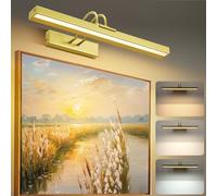 Lampop Luz de imagen inalámbrica dorada, lámpara de arte recargable de 40 cm, batería de 5000 mAh, montada en la pared