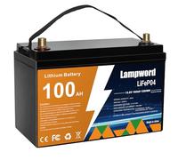 Lampword - Batería de litio de 12 V 100 Ah LiFePO4 batería de 6000 + baterías recargables de ciclo profundo para motor de carril, carrito de golf, energía solar y eólica, iluminación, buscador de